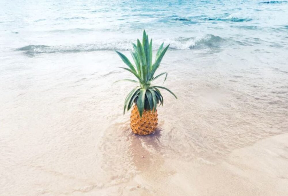 House& Land Package 购地建房套餐解析