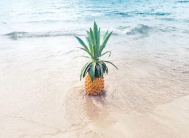 House& Land Package 购地建房套餐解析