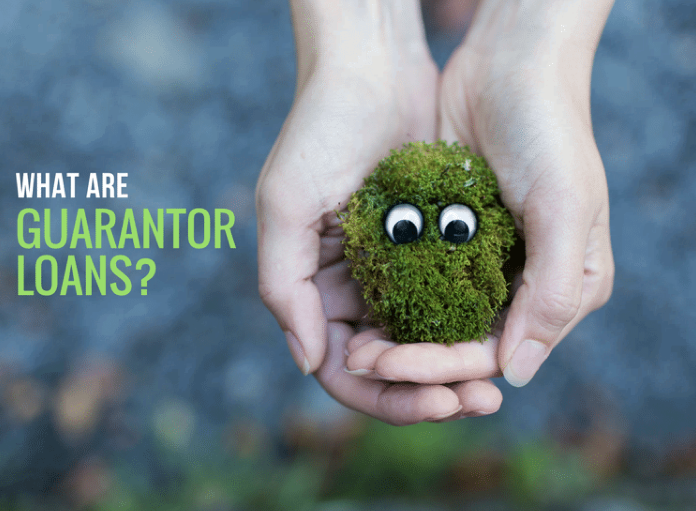 What Are Guarantor Loans What Are Guarantor Loans